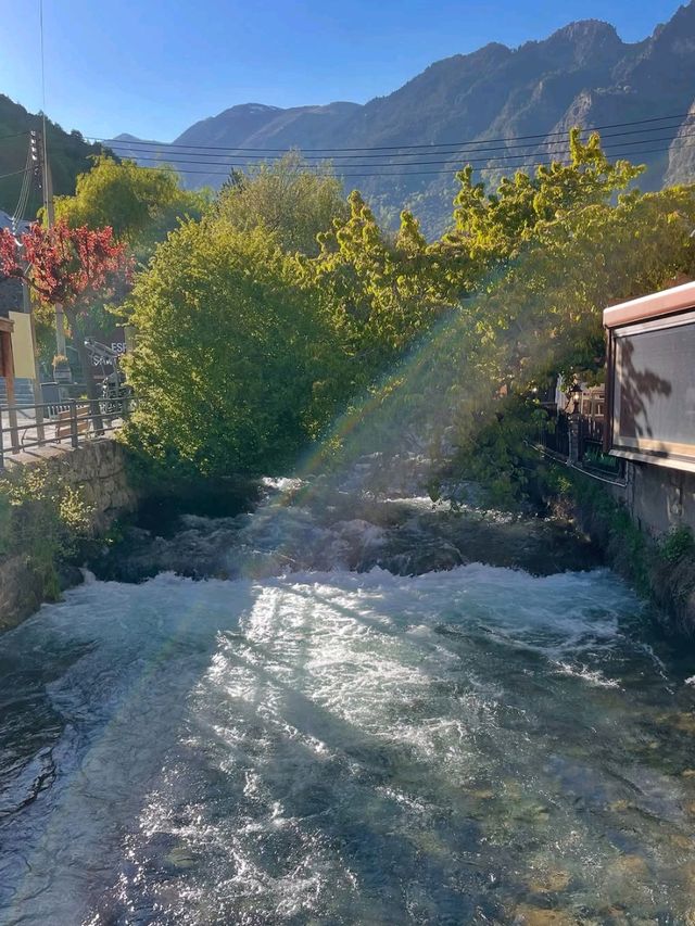 Your Gateway to Nature Goals