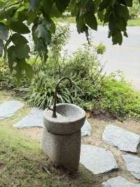 คาเฟ่ กทม.888 Little hill cafe