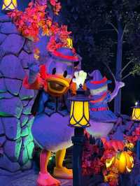 Meet Them All: Every Disney Princess Lives Here
