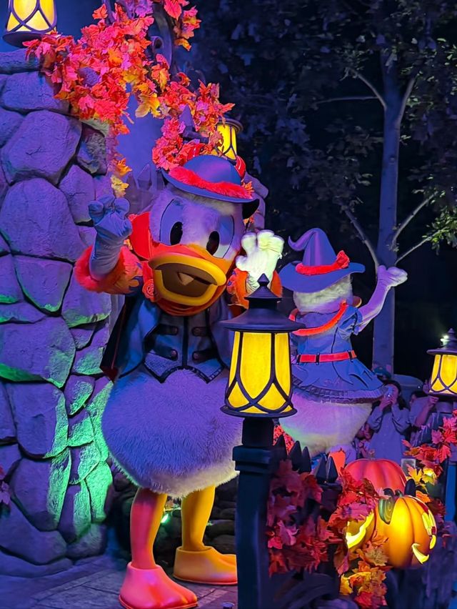 Meet Them All: Every Disney Princess Lives Here