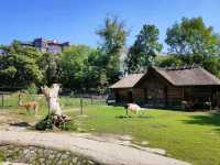 Kaliningrad Zoo