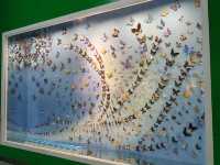 Expo Garden
