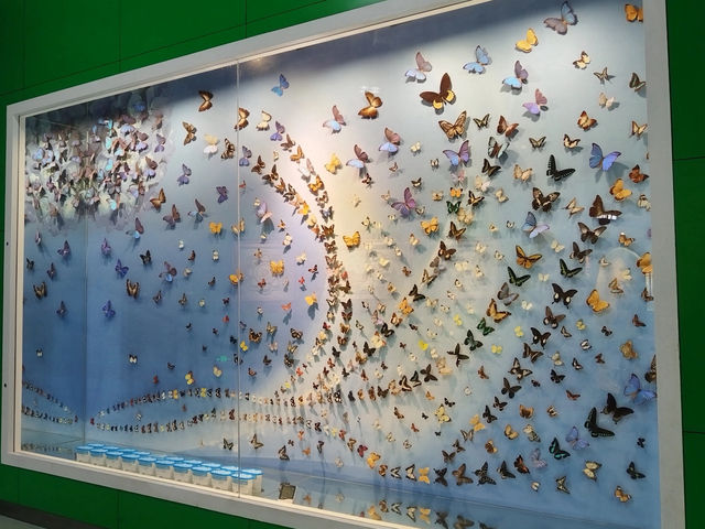 Expo Garden