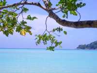 หาดไม้งาม