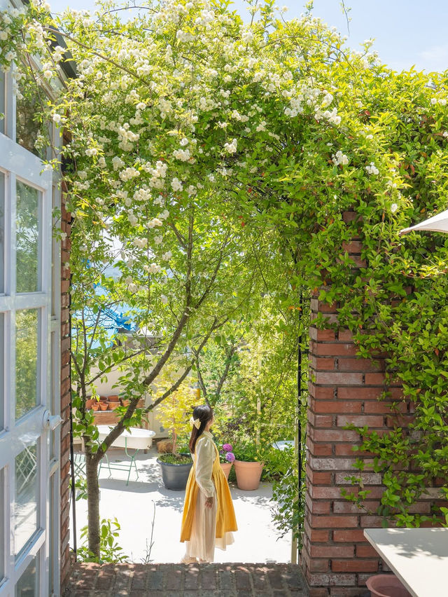 행복한 사장님이 가꾸시는 장미 정원 카페🌼💛