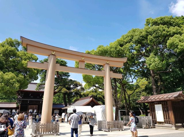 วัดเมจิ (Meiji Jingu) – ศาลเจ้าศักดิ์สิทธิ์