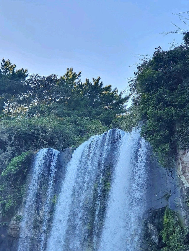 Where Water Meets the Sea: Jeongbang Waterfall, Jeju
