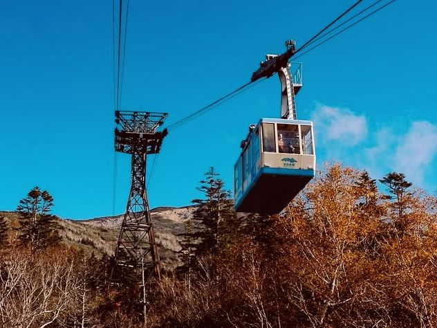 ⛩️🌲 *Togakushi Shrine Trail & Tsugaike Nature Park: A Spiritual Hike Through Japan’s Sacred Forests