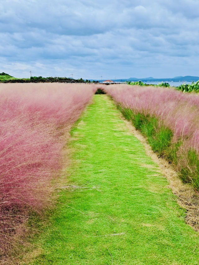 A Picturesque Setting for Nature Photography at a Great Value