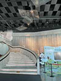 Chengdu Panda museum 🐼