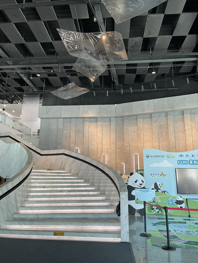 Chengdu Panda museum 🐼