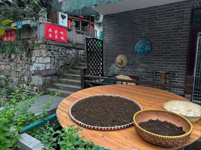 Tea Fields Forever: Wandering Through Long Jing Village