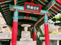 🏞️【山海之間】海東龍宮寺：依海而建的靈性秘境
