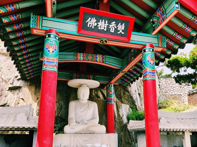 🏞️【山海之間】海東龍宮寺：依海而建的靈性秘境