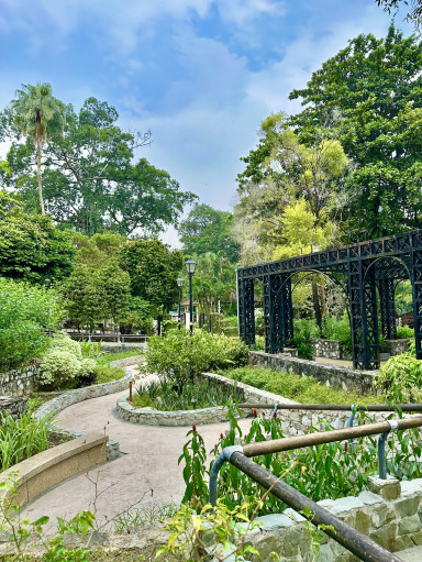 🌿 Herb & Spice Garden – A Fragrant Stroll Through Nature's