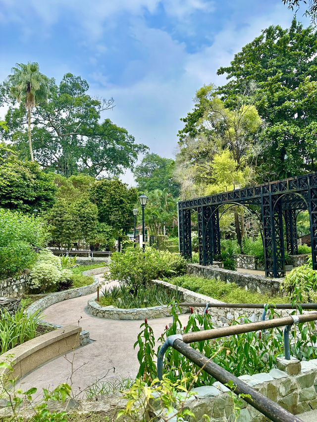 🌿 Herb & Spice Garden – A Fragrant Stroll Through Nature’s Pharmacy