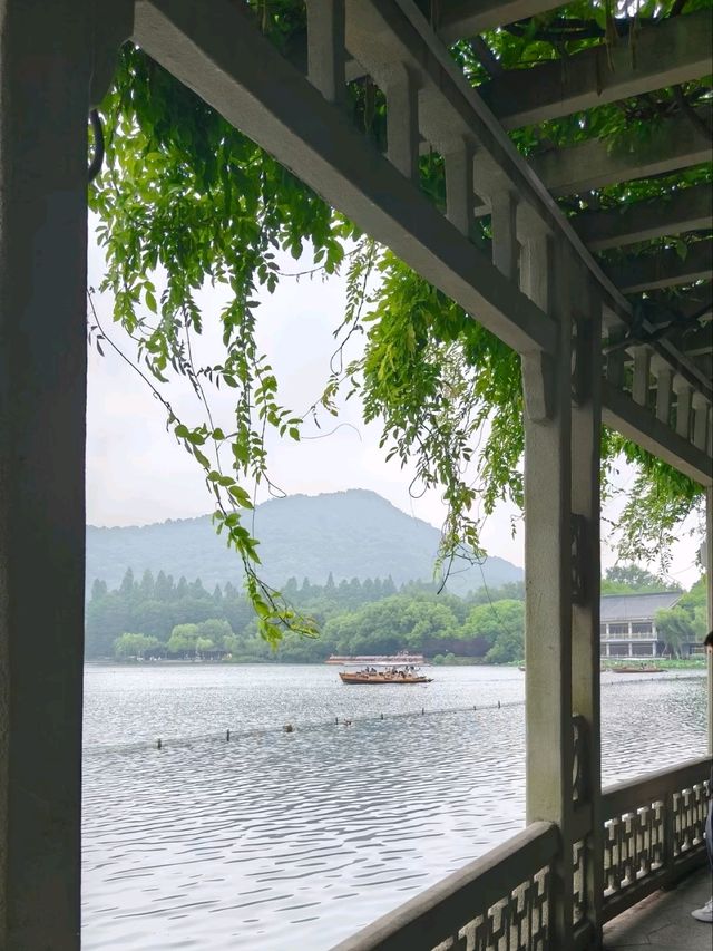 Where Koi Paint the Water – West Lake’s Living Silkscape
