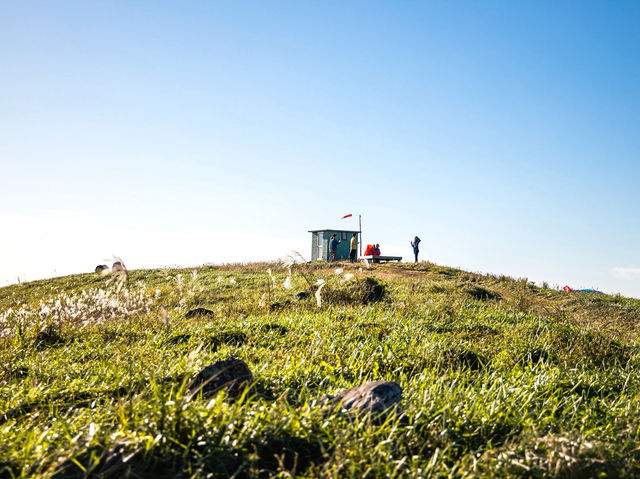 하늘을 걷는 순간, 제주에서 인생샷 날리다 🌾🏔