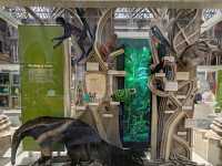 Oxford University Museum of Natural History: A Feast of Nature and History