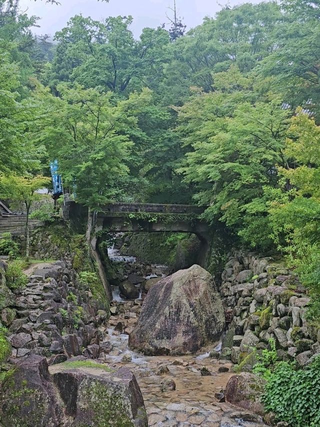 미야지마 여행하기