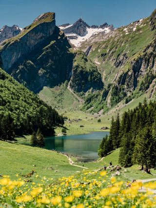 🏞️Swiss Summer Dream: Hiking to Seealpsee