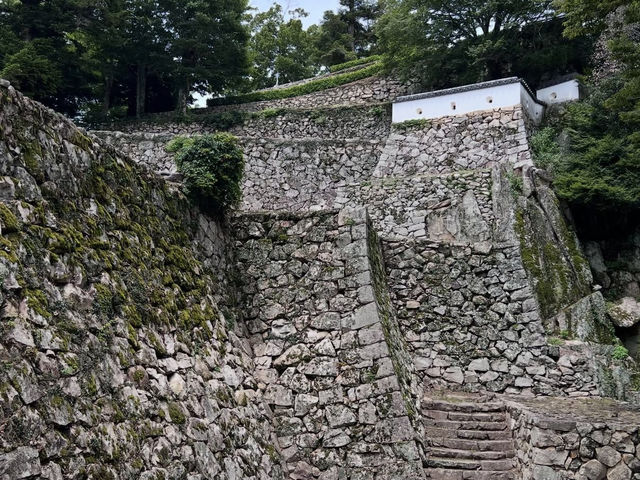 🏯【備中松山城】雲海に浮かぶ天空の城で絶景と歴史に出会う旅