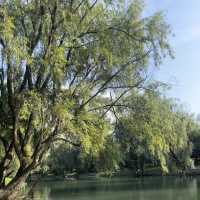 【貴陽花溪濕地公園】終極遊玩攻略 | 城市裡的天然氧吧 🌿💦