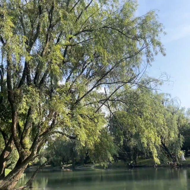 【貴陽花溪濕地公園】終極遊玩攻略 | 城市裡的天然氧吧 🌿💦