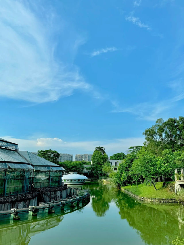 🌿Oxygen Day｜Step into a Miyazaki Summer in Guangzhou