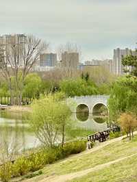 City Calm, Lakeside Light – A Pause at Xiliu Lake Park