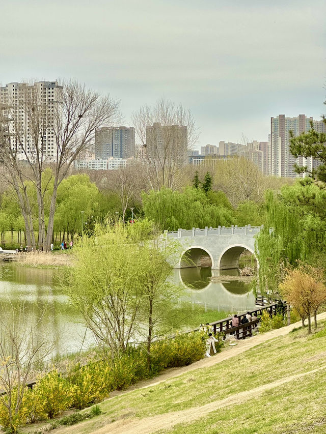 City Calm, Lakeside Light – A Pause at Xiliu Lake Park