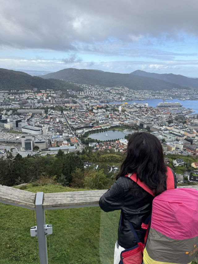 플뢰엔산 전망대 (Mount Fløyen / Fløyfjellet)