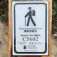 Hike to the Tranquil Heights of Black Hill