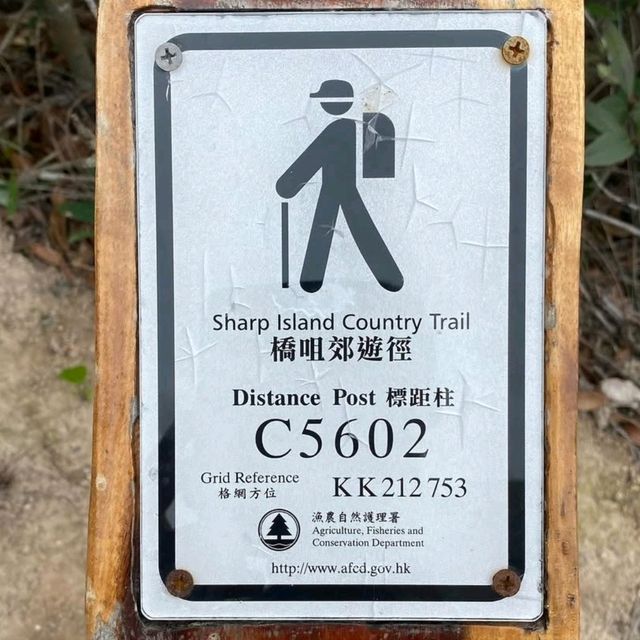 Hike to the Tranquil Heights of Black Hill