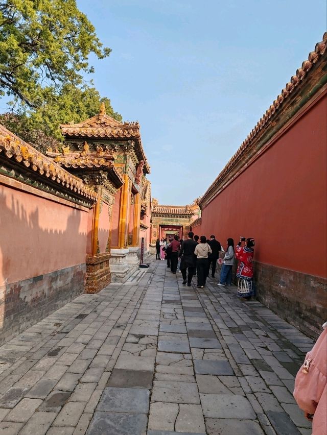 Discover the Forbidden City: Feel the Pulse of History