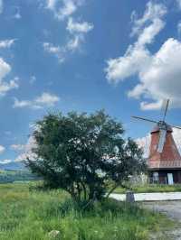 The Heart of the Steppe: Discovering Hohhot