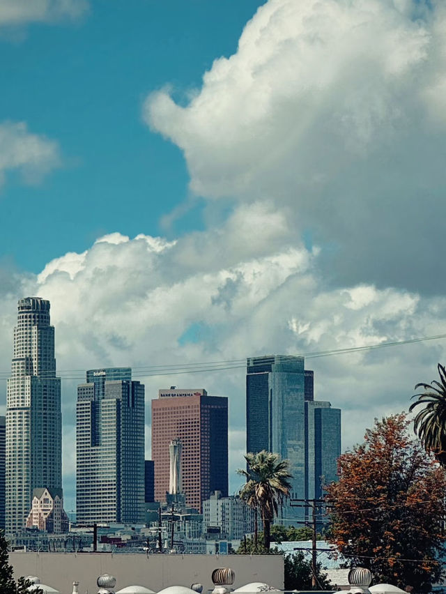 🌧️ Rainy Day in LA|A Rare Mood in the Sunshine State
