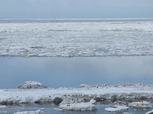 유빙둥둥 오호츠크해를 따라 달리는 유빙이야기호