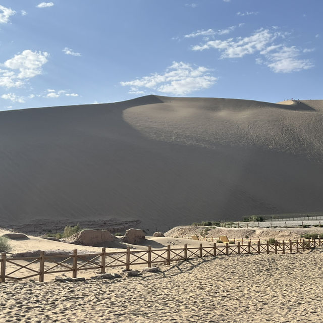 A Desert Park Like No Other 