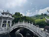 Bridges, Turtles & Tranquility