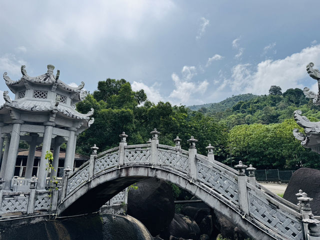 Bridges, Turtles & Tranquility