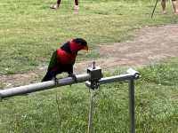 衛武營國家藝術文化中心