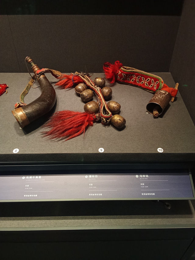Discovering Qinghai Province Museum: A Cultural Gem in Xining Discovering Qinghai Province Museum: A Cultural Gem in Xining