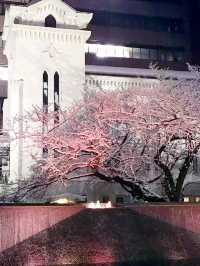 3月の夕方から夜の横浜 — 横浜海岸教会と周辺散策、おすすめレストラン