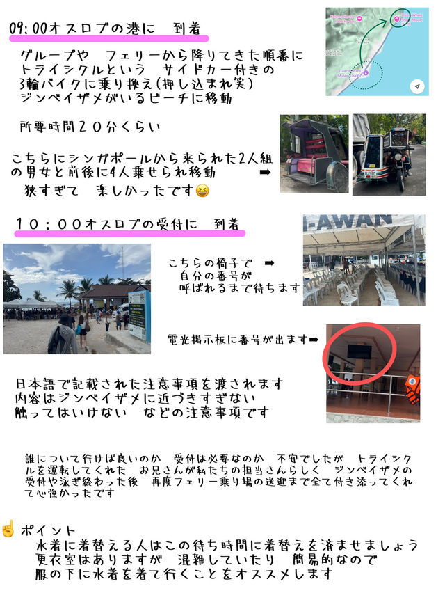 フェリーで行く ボホール島 発着ツアー