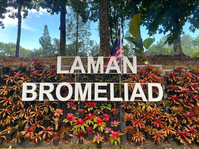 Laman Bromeliad at Taman Botani Putrajaya – A Tropical Gem in the Heart of Malaysia’s Botanical Gard