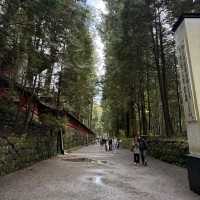 Rōmon Gate - Nikko Futarasan Jinja ⛩️🌳