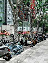 เที่ยว Shanghai มุม North Bund Green Land ต้องมี