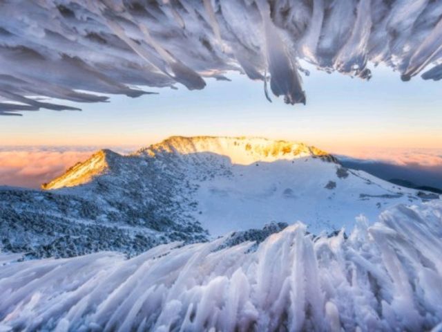 🏞️ 한라산 국립공원 – 제주의 심장을 품은 하늘정원
