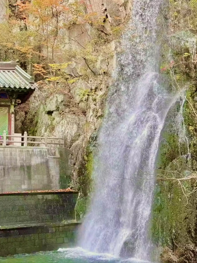 🌿 양산 홍룡사 & 황산공원, 하루 힐링 코스 🌸✨